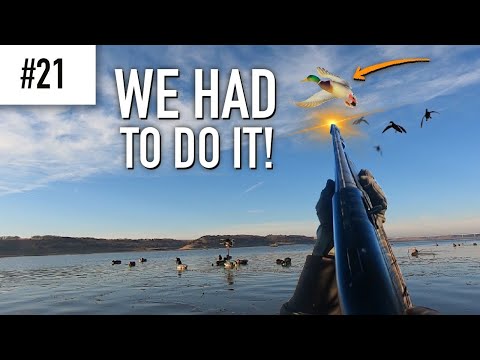 Late Duck Season Mallard Hunt – We Made an Unusual Decision!