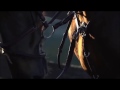 White Noise || Equestrian Edit ||