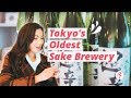 Touring the Oldest Sake Brewery in Tokyo (Plus Japanese Sake Tasting)