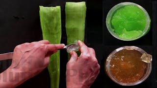 How to Make Aloe Vera Gel For Pharmacy & Cosmetic Practical Only (ENGLISH) By Solution Pharmacy