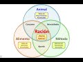 Webinar ¿Cómo Formular Raciones Óptimas para el Ganado Lechero?