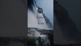 surah fatir ayat 11