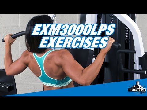 Body Solid Exm 3000 Exercise Chart