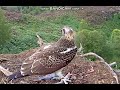 Vera has lunch 20th august 2020 c wt loch arkaig