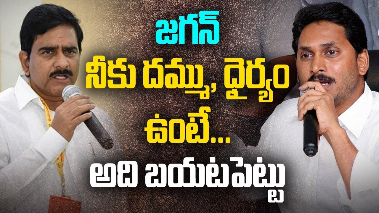 జగన్ నీకు దమ్ముధైర్యం ఉంటే అది బయటపెట్టు | Something Special something special traduction
