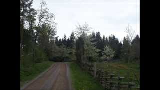En vänlig grönskas rika dräkt. Svensk sommarpsalm. chords