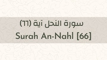 Surah An-Nahl [66] - سورة النحل آية ٦٦