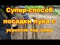 Супер  способ посадки лука-севка с укропом под зиму с защитой от мышей, проволочника и т д