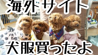 【犬服】海外サイトで買った犬服着せてみた♫サイズが・・