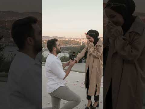  2024      بهاء سلطان حن عليا