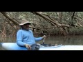 Waterways Episode 275 - Life in the Mangroves