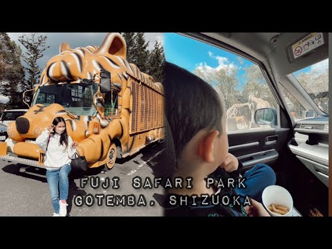 FUJI SAFARI PARK 富士サファリパーク| Shizuoka Japan | Best way to celebrate your day