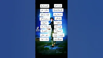 اسماء ببجي 