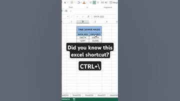 10 Excel Shortcuts You NEED To Know | excel | #shorts