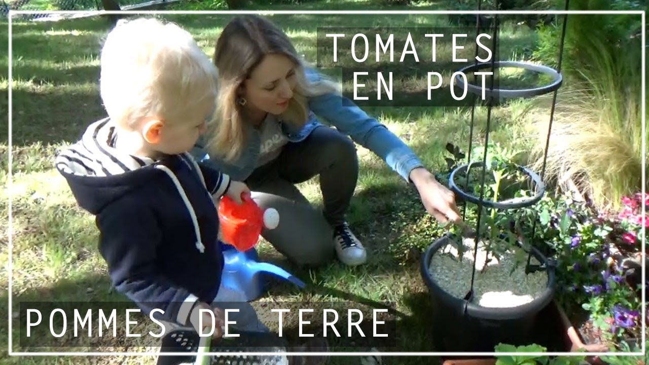 Pomme de terre en pot et tomates tuto plantation Jardiner avec les — free download