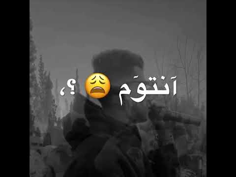 افجر حالات واتس مهرجانات عصام صاصا جديد2023 العين بتكره الاحسن منها عشان كدا انتوم كرهنها