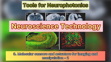 3. Tools for Neurophotonics: Molecular sensors and actuators for imaging and manipulation - 2