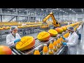 Inside a Giant Mango Juice Factory 🍹 | How Millions of Mangoes Become Juice | Mega Food Production