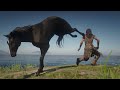 Native American Fights Angry Horse in Red Dead Redemption 2 PC Vol.24