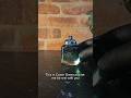 Coach green breakdown #colognereviews #coach #cheapperfume #fragrancereviews #perfumereviews #green