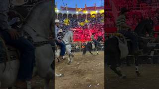 Entrada De Los Caballos Bailadores En La Monumental De Morelia