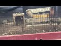 伊豆シャボテン動物公園 アニマルボートツアーズ２
