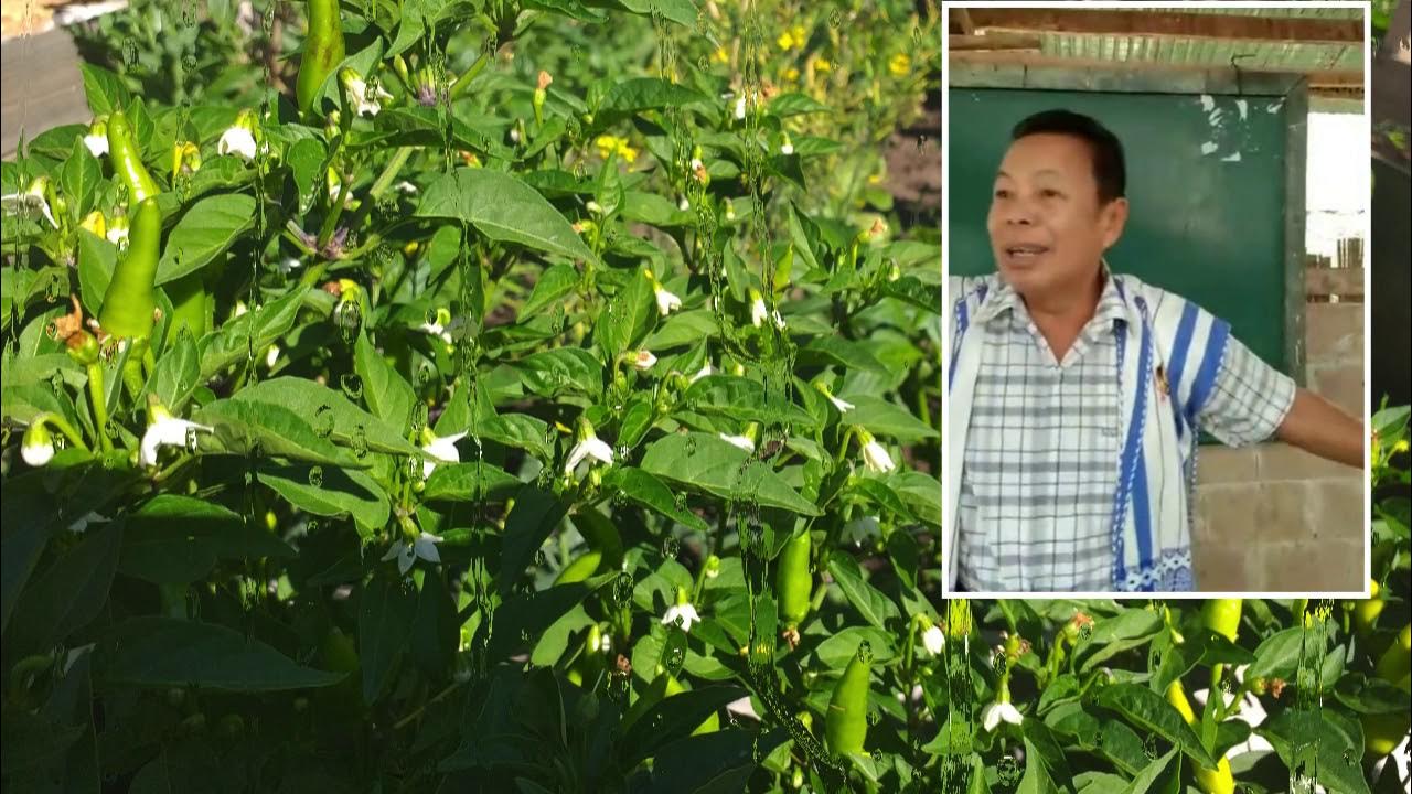 A Glimpse History Of SDA Church By Pastor Ler Htoo YouTube a-glimpse-history-of-sda-church-by-pastor-ler-htoo-youtube