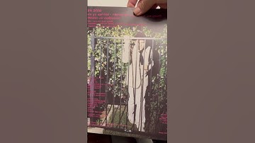Thumbnail of LCD SOUNDSYSTEM - Bye Bye Bayou