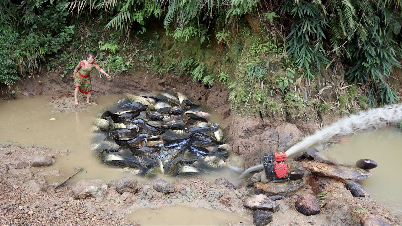 Build banks, change the flow, use large capacity pumps Catch a lot of ...