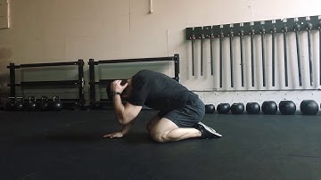 Thoracic Mobility (rock-back quadruped rotations)