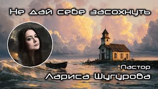 видео: Не дай себе засохнуть 19.10.2025 картинка: Не дай себе засохнуть 19.10.2025