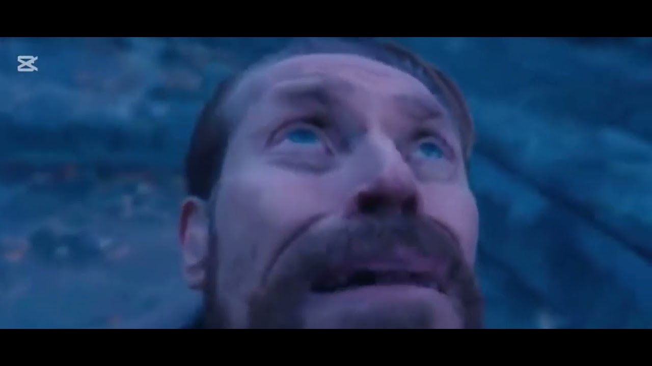 Volibear sett bot lane