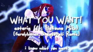 asteria - WHAT YOU WANT! [6arelyhuman & kets4eki Remix] (lyric video)