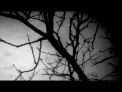 Hate & Merda — HATE & MERDA - Pioggia Di Cicatrici E Sogni Negati