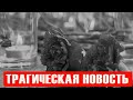 Умер создатель "Кривого зеркала"!