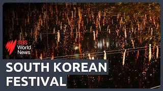 Traditional 'Nakhwa Nori' falling flowers fireworks mark 60 years of South Korea-Japan relations
