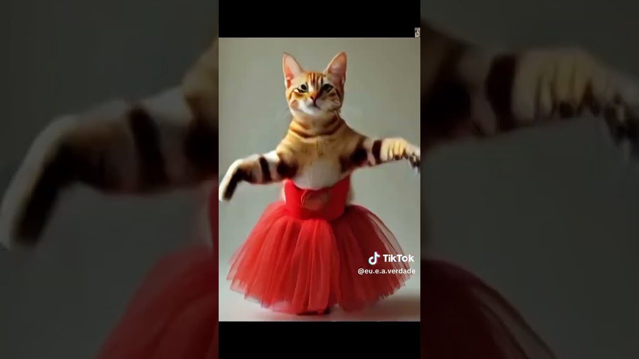 Kadoda-_Dança de Moçambique.(Video vizualizer)