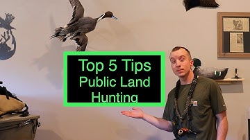 Top 5 Tips For PUBLIC LAND Duck Hunting