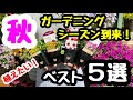 ■秋に絶対おすすめ