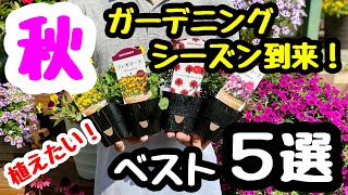 ■秋に絶対おすすめ