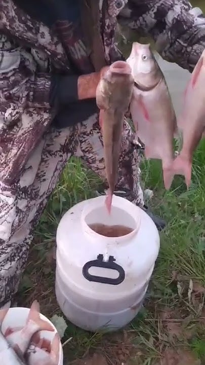 youtube.com