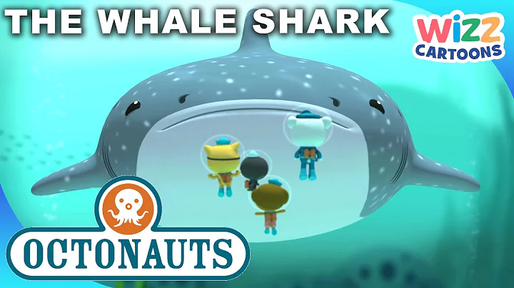 @Octonauts - The Whale Shark 🐳 🦈 | S1:EP10 Full Episode | @WizzCartoons