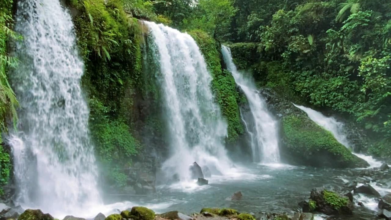 Let Go of Stress Tonight | Night Waterfall Sounds for Calm Medichine Sleep