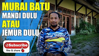 MURAI BATU jemur dulu atau mandi dulu 🔴 menyesuaikan kebutuhan burung murai batu