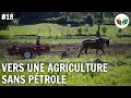 Vers une agriculture sans pétrole : la traction animale, les Jardins d'Illas - FTD #18