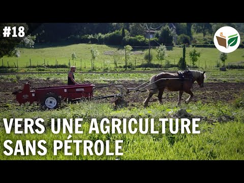 Vidéo: Travailler avec des chevaux de trait dans une petite ferme durable