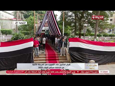 انتخابات مجلس النواب 2025 علي السيد الكاتب الصحفي يعلق على كيفية متابعة سير العملية الانتخابية