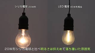 LEDフィラメント 電球