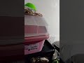 Tour Tah Atong Balay Na Wala Pah Nahuman Dodz 