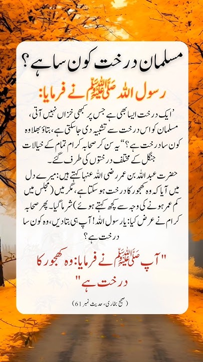 heart-touching-islamic-quotes-in-urdu-hadees-sharif